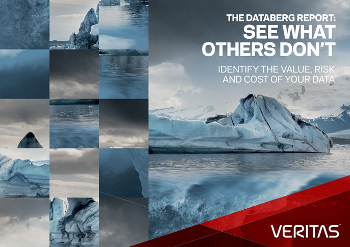 Veritas-Global-Databerg-Report-Cover2.png